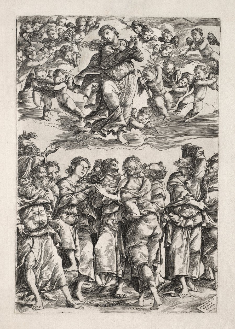 Nanebevzetí Panny Marie od Domenico Campagnola