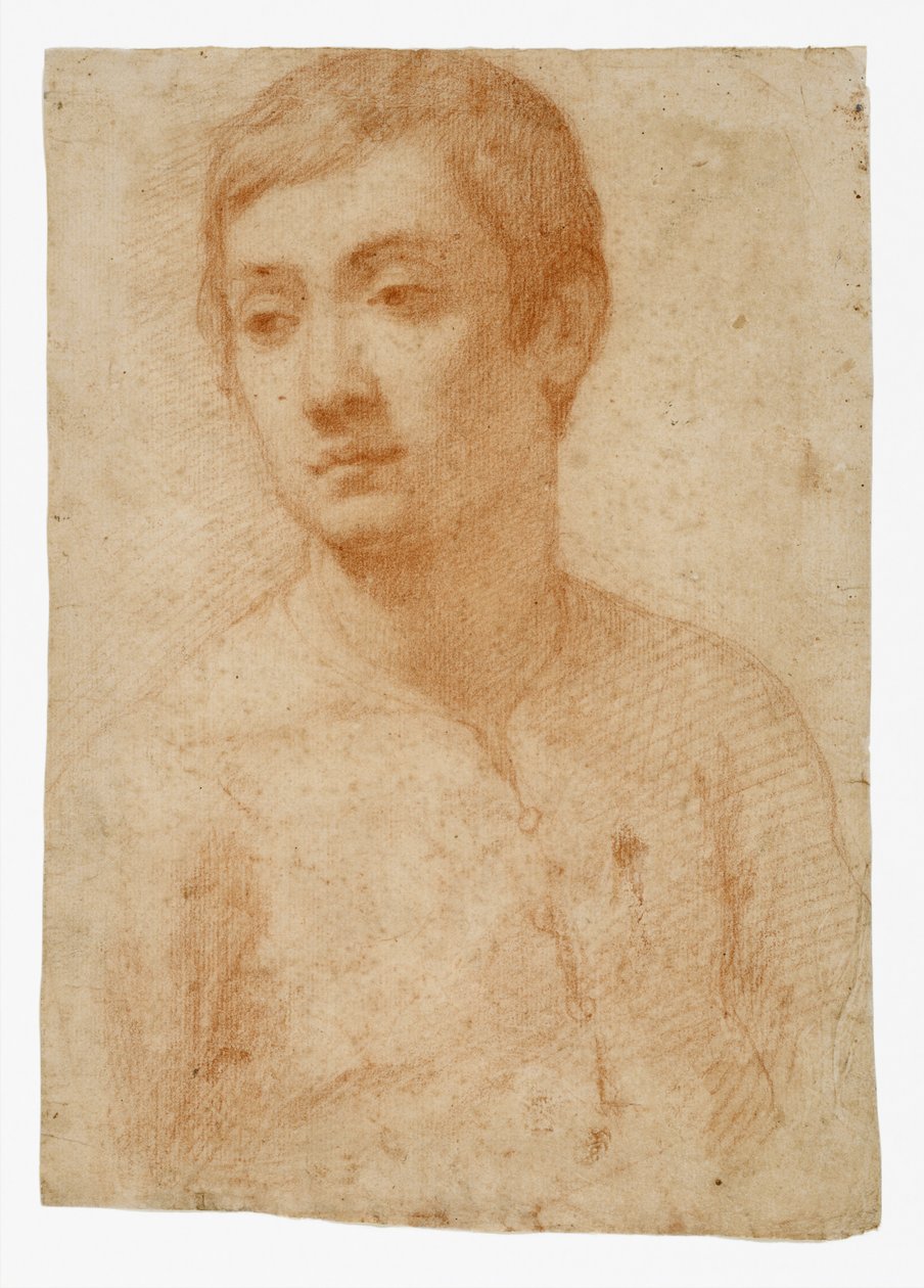 Hlava mládeže, cca 1600-25 (červená křída na položeném papíře) od Domenico Cresti