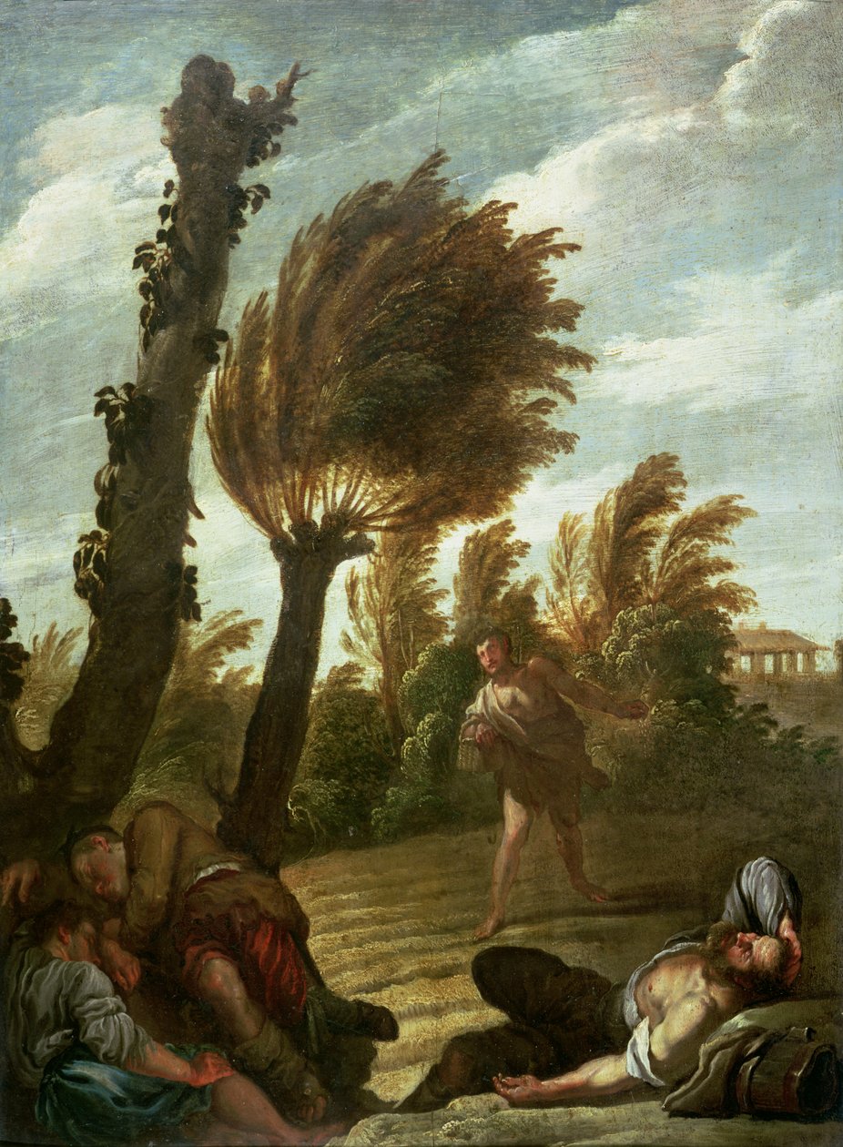 Podobenství o rozsévači koukolu, kolem 1620-21 od Domenico Fetti or Feti