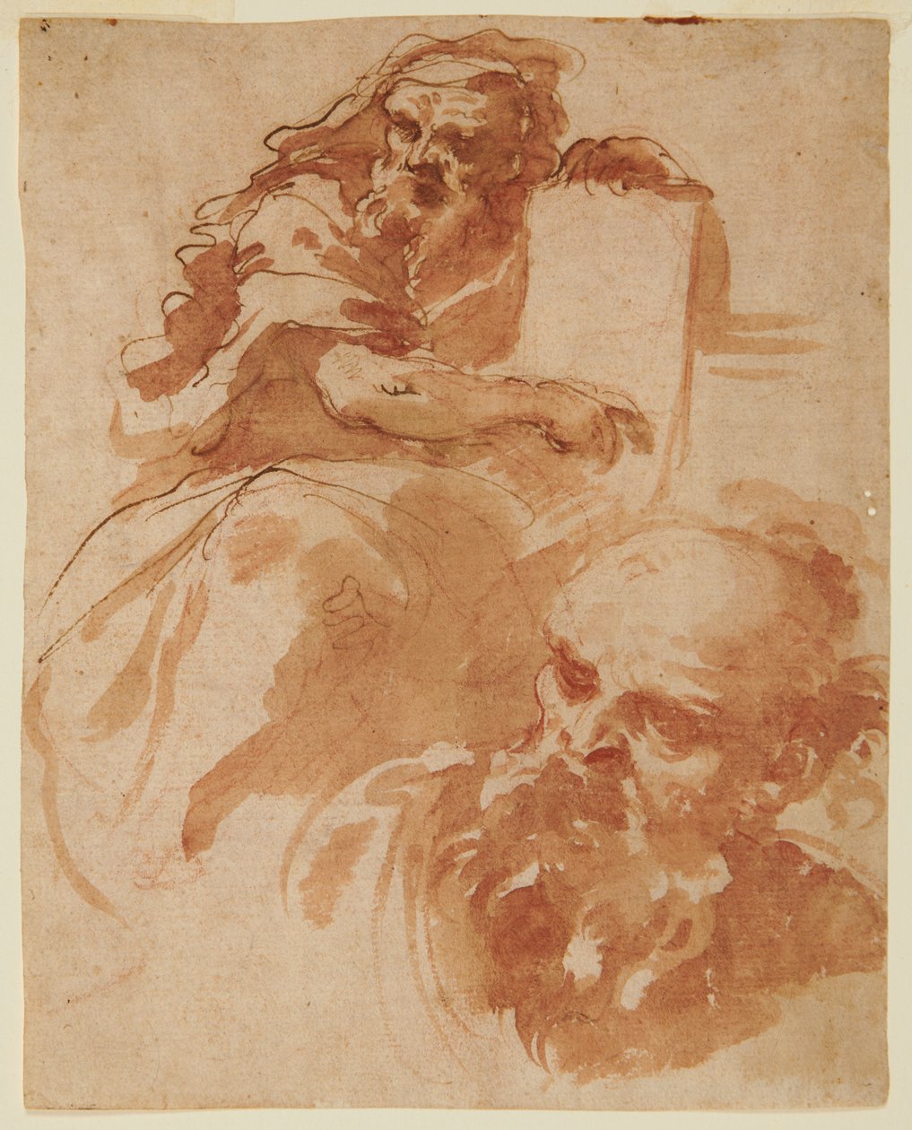 Seated Prophet (Recto) od Domenico Maria Canuti