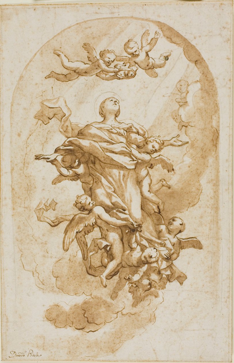 Nanebevzetí Panny Marie od Domenico Piola