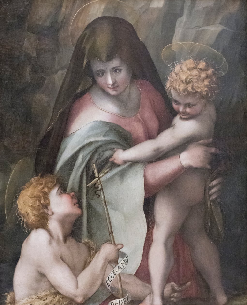Madonna a dítě s mladým svatým Janem, Domenico Puligo (olej na panelu) od Domenico Puligo