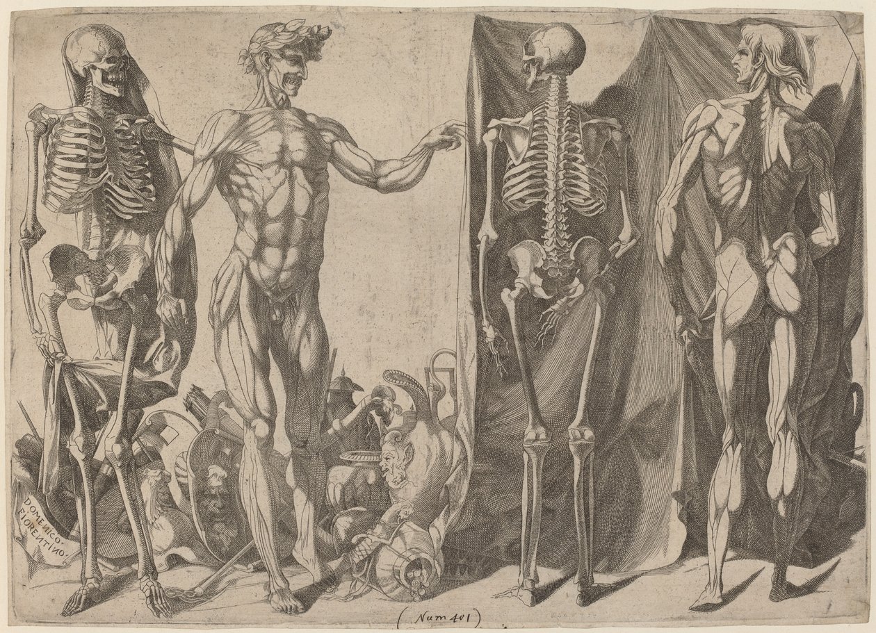 Kostry a kůže od Domenico del Barbiere