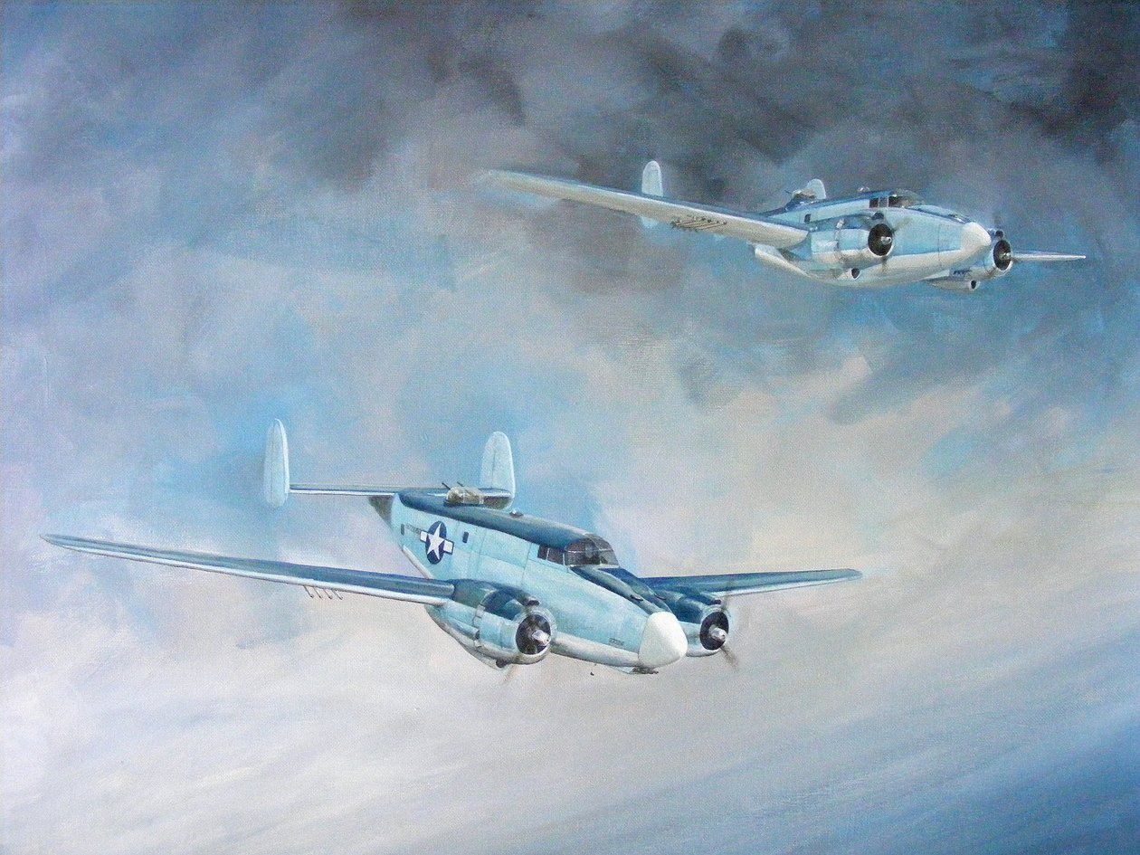 Harpoon Pair (akryl na plátně) od Dominic Berry