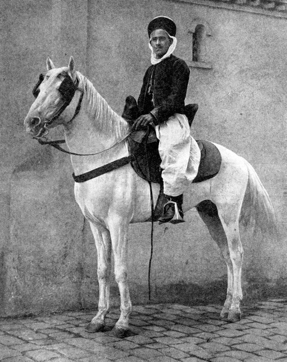 Berberský jezdec francouzské armády, 1936. od Donald McLeish