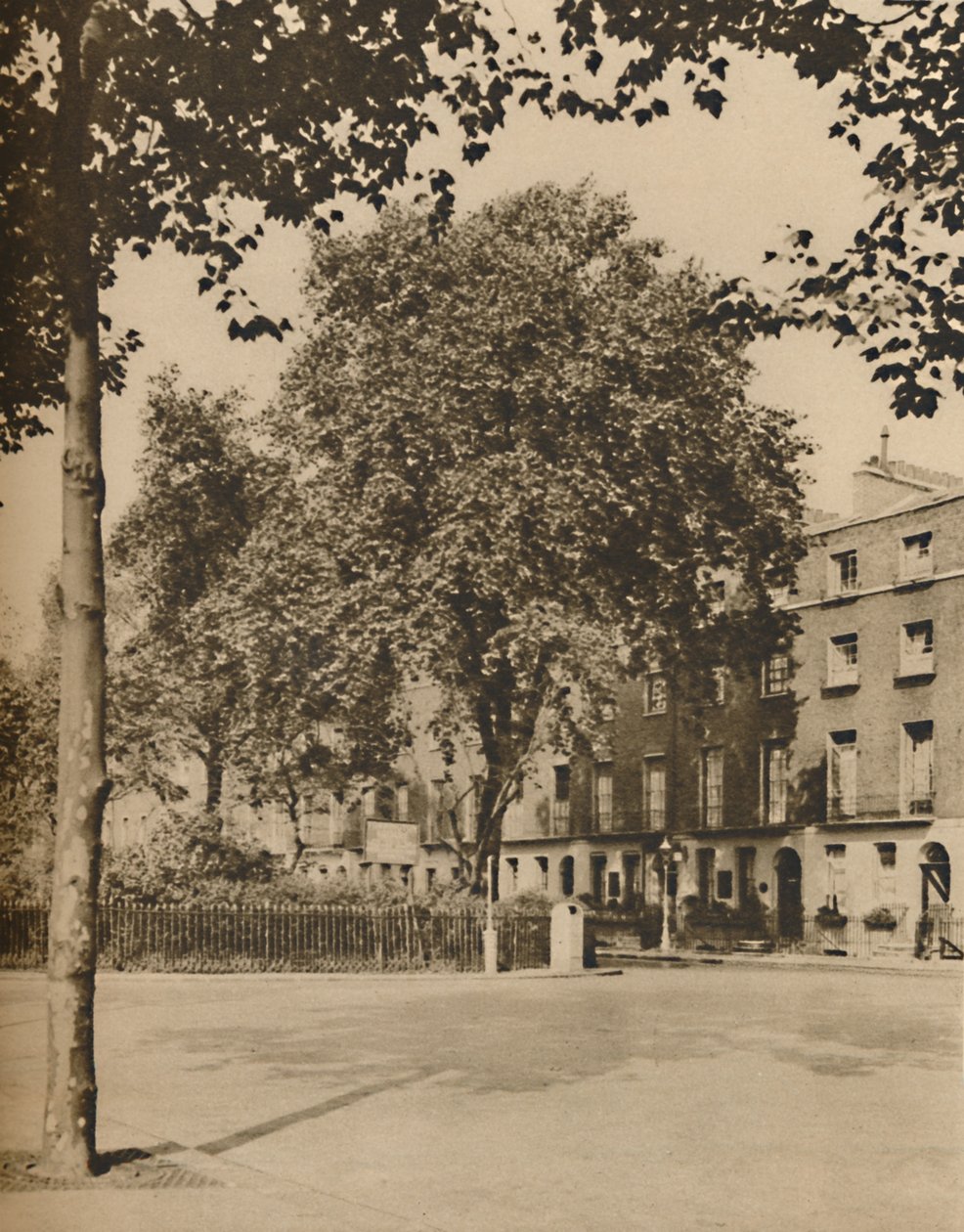 In Boarding-House Land: Platany na Torrington Square, c1935. od Donald McLeish