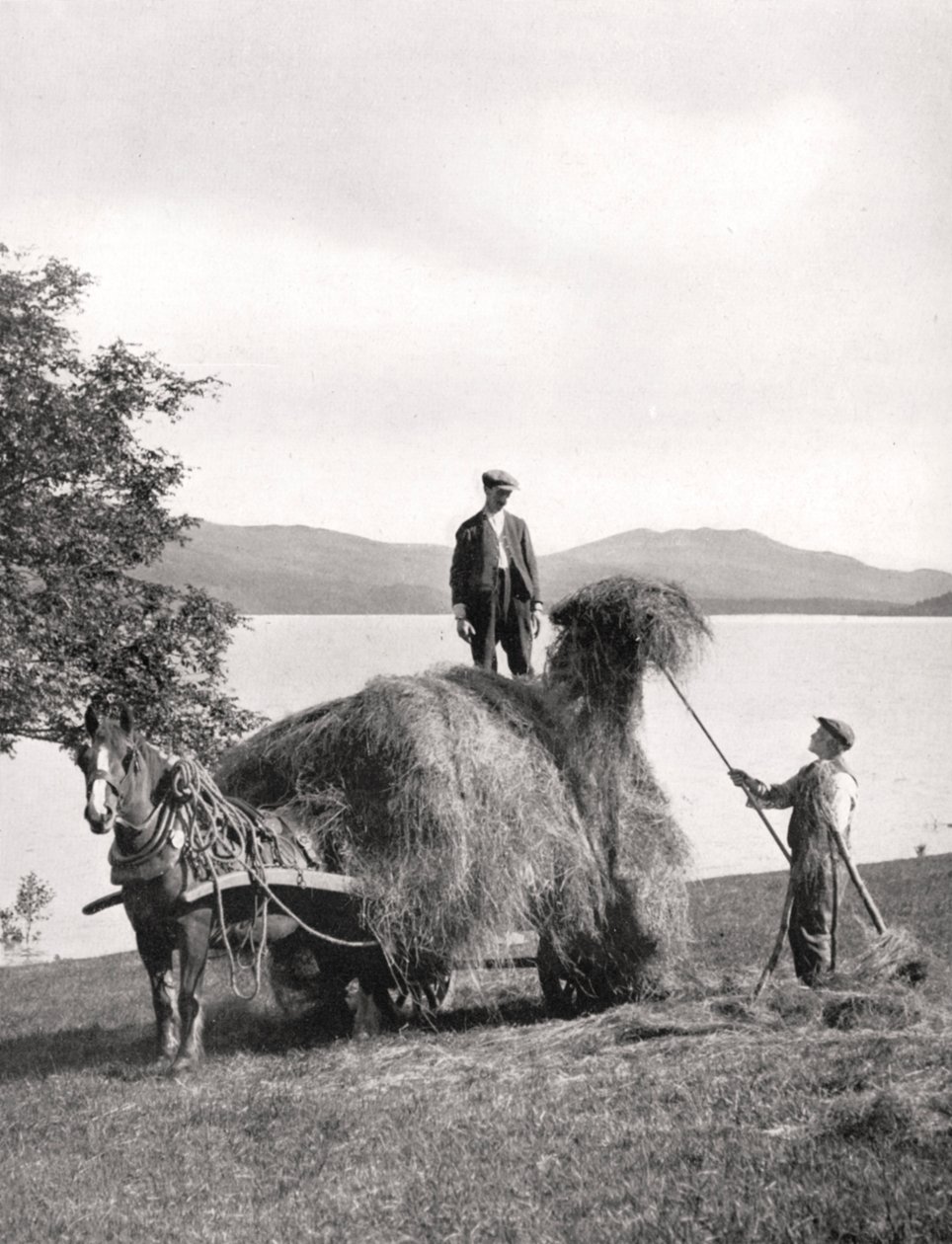 Nakládání sena na vůz na břehu jezera Loch Lomond, Skotsko, 1924-1926. od Donald McLeish