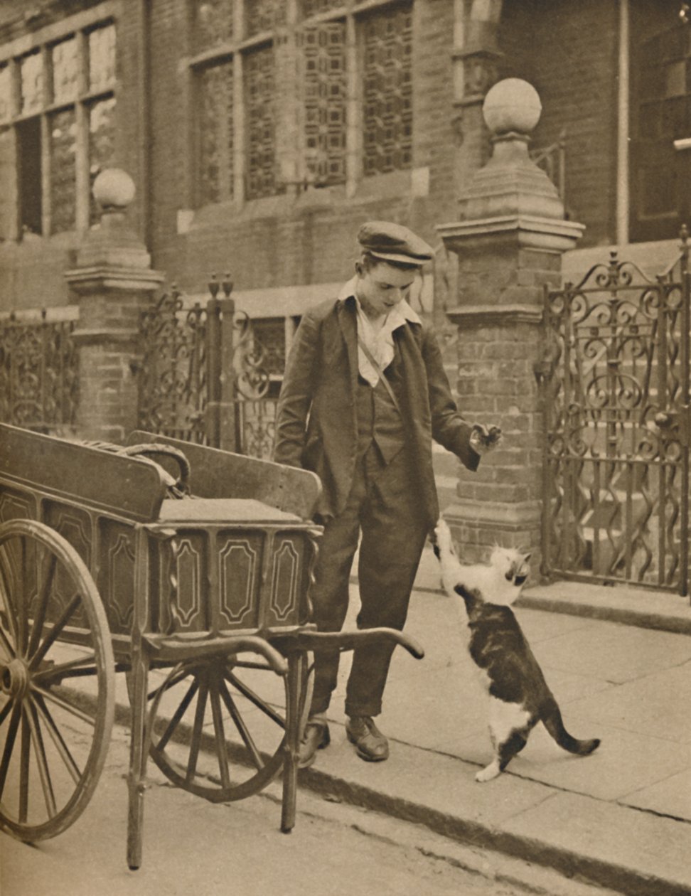Jeden z nejlépe zavedených obchodů: Zákazník a kočičí masožravec, c1935. od Donald McLeish