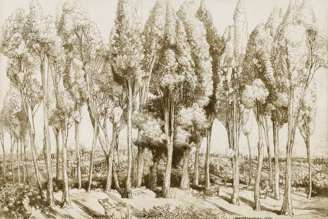 Road Song no. 5 od Donald Shaw MacLaughlan