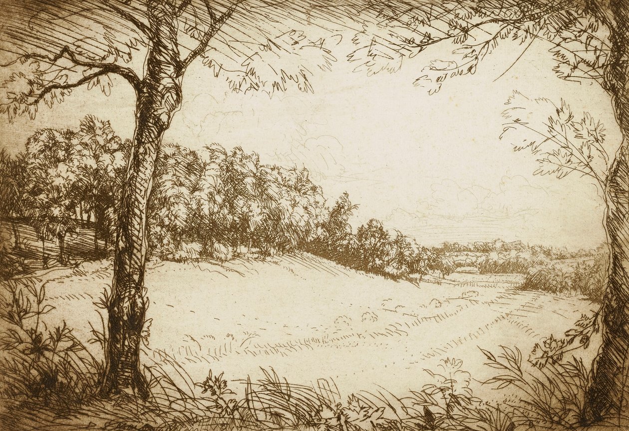 Letní ráno v Tennessee od Donald Shaw MacLaughlan