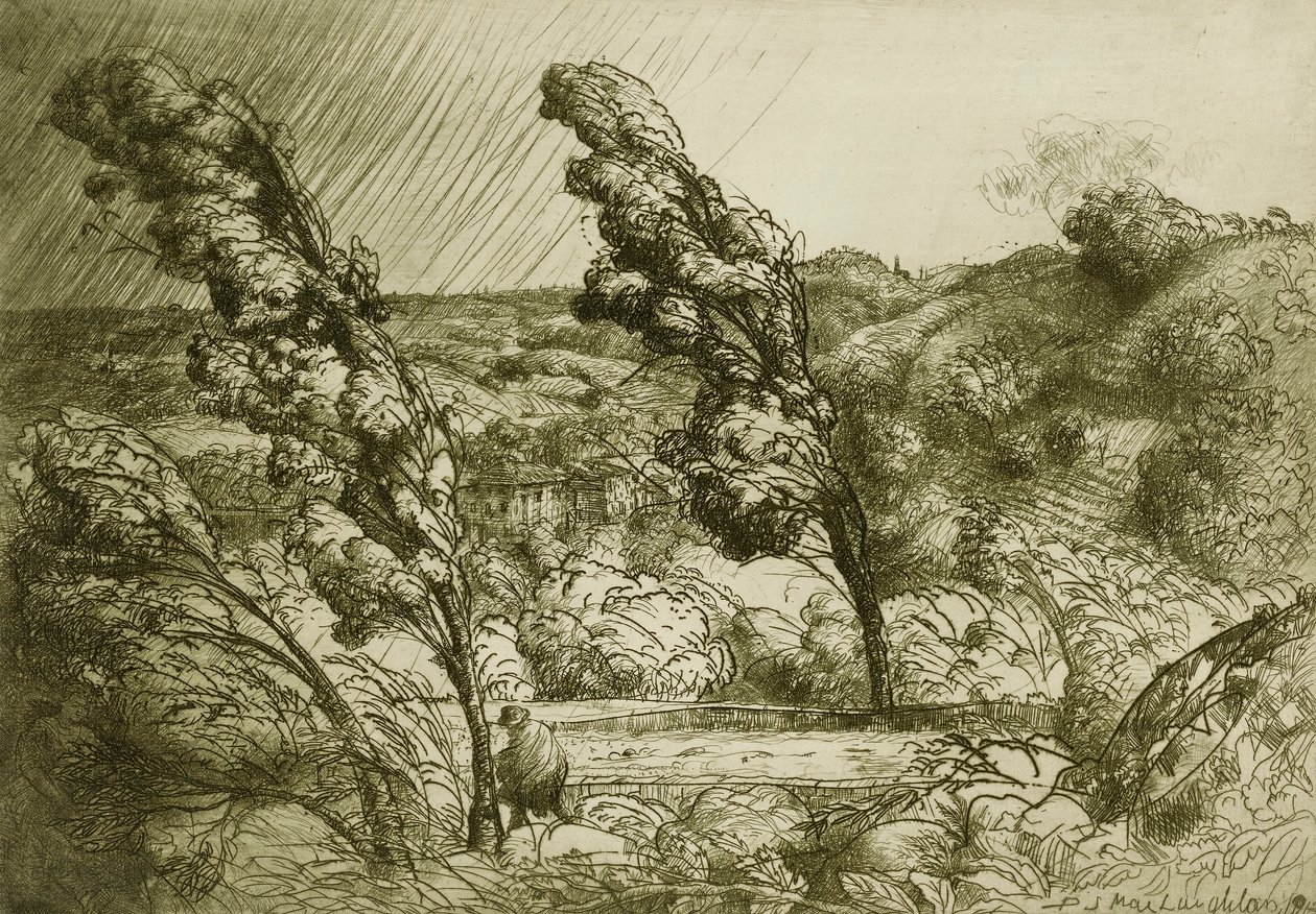 Bouře od Donald Shaw MacLaughlan
