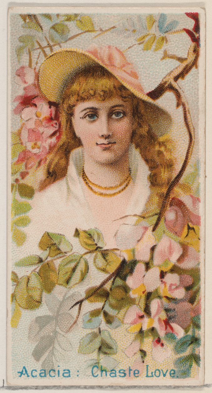 Acacia: Cudná láska, ze série Květinové krásy a řeč květin N75 pro Duk..., 1892. od Donaldson Brothers