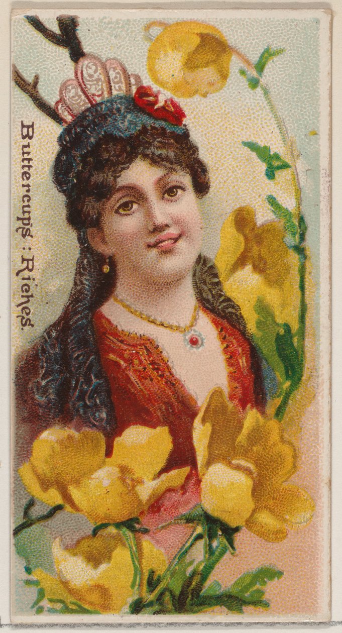 Buttercups: Riches, ze série Květinové krásy a jazyk květin N75 pro Duke..., 1892. od Donaldson Brothers