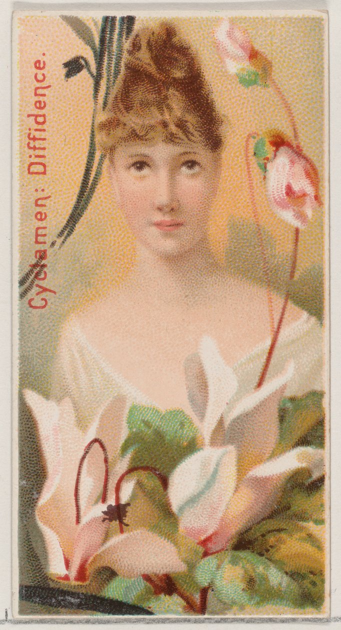Cyclamen: Diffidence, ze série Květinové krásy a jazyk květin N75 pro Du..., 1892. od Donaldson Brothers