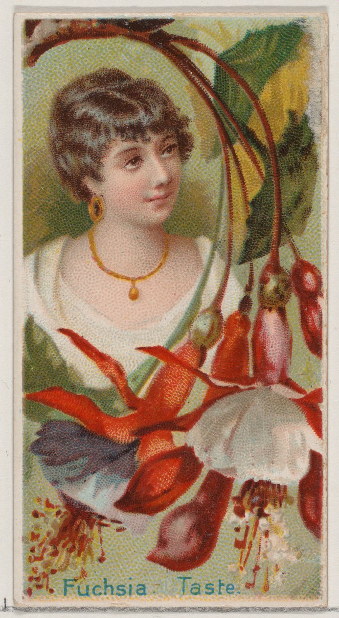 Fuchsia: Taste, ze série Květinové krásy a řeč květin N75 pro Duke bra..., 1892. od Donaldson Brothers