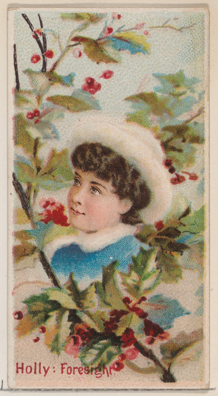 Holly: Prozíravost, ze série Květinové krásy a řeč květin N75 pro vévodu b..., 1892. od Donaldson Brothers