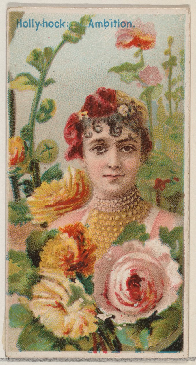 Hollyhock: Ambition, ze série Květinové krásy a řeč květin N75 pro Duk..., 1892. od Donaldson Brothers