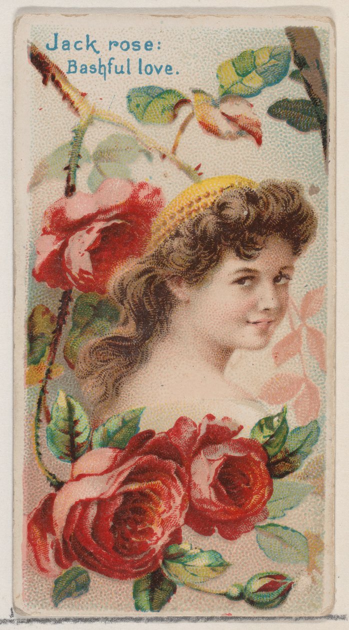 Jack Rose: Stydlivá láska, ze série Květinové krásy a jazyk květin N75 pro..., 1892. od Donaldson Brothers