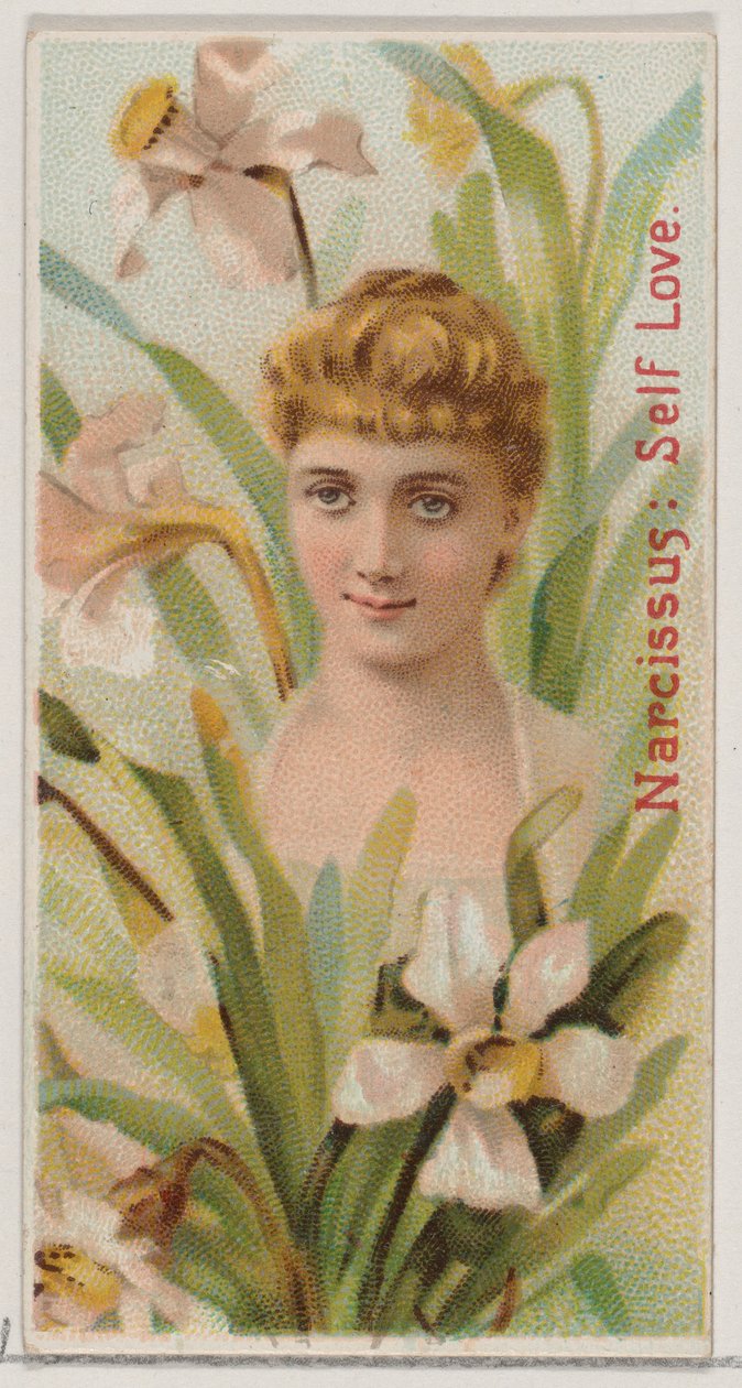 Narcissus: Self Love, ze série Květinové krásy a jazyk květin N75 pro Du..., 1892. od Donaldson Brothers