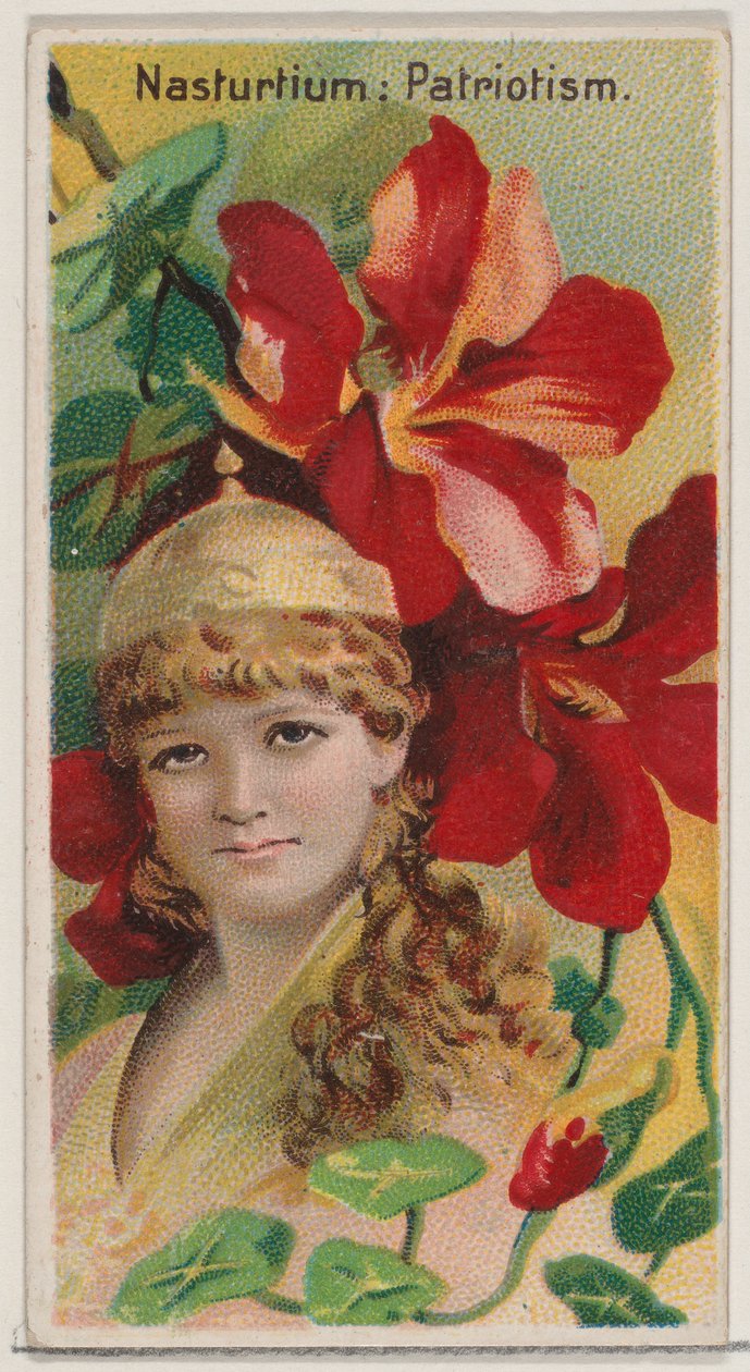 Nasturtium: Patriotism, ze série Květinové krásy a řeč květin N75 pro ..., 1892. od Donaldson Brothers