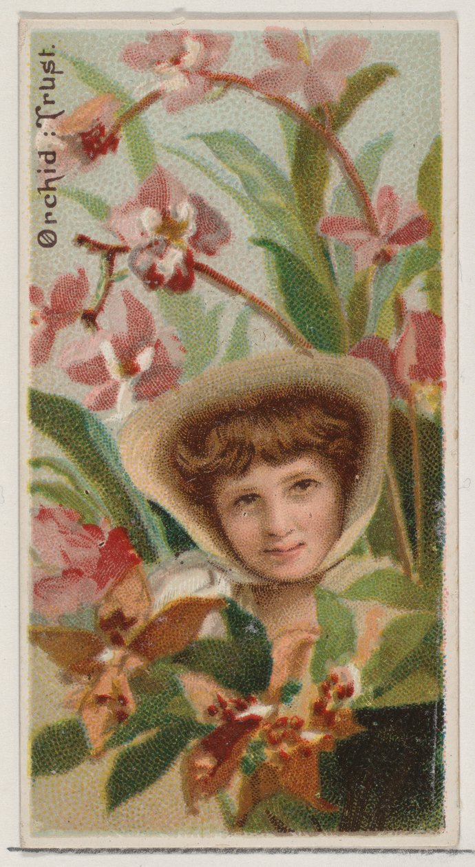 Orchid: Důvěra, ze série Květinové krásy a řeč květin N75 pro Duke bran..., 1892. od Donaldson Brothers