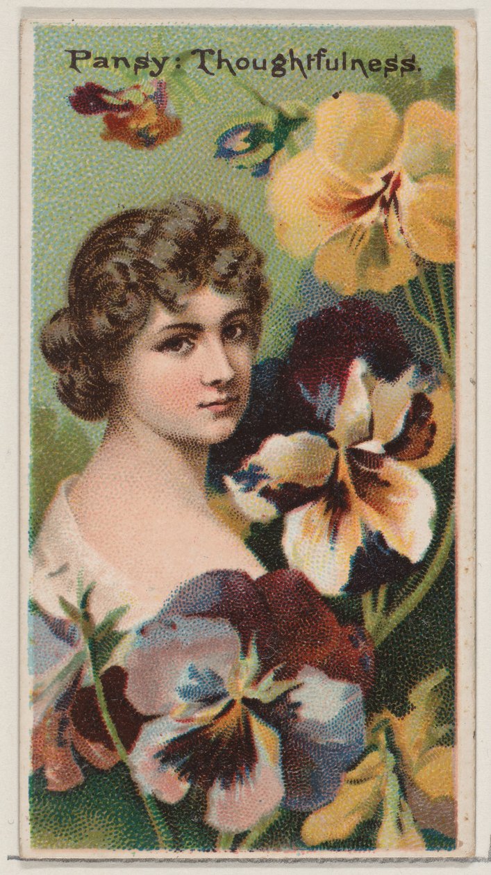 Pansy: Thoughtfulness, ze série Květinové krásy a řeč květin N75 pro D..., 1892. od Donaldson Brothers