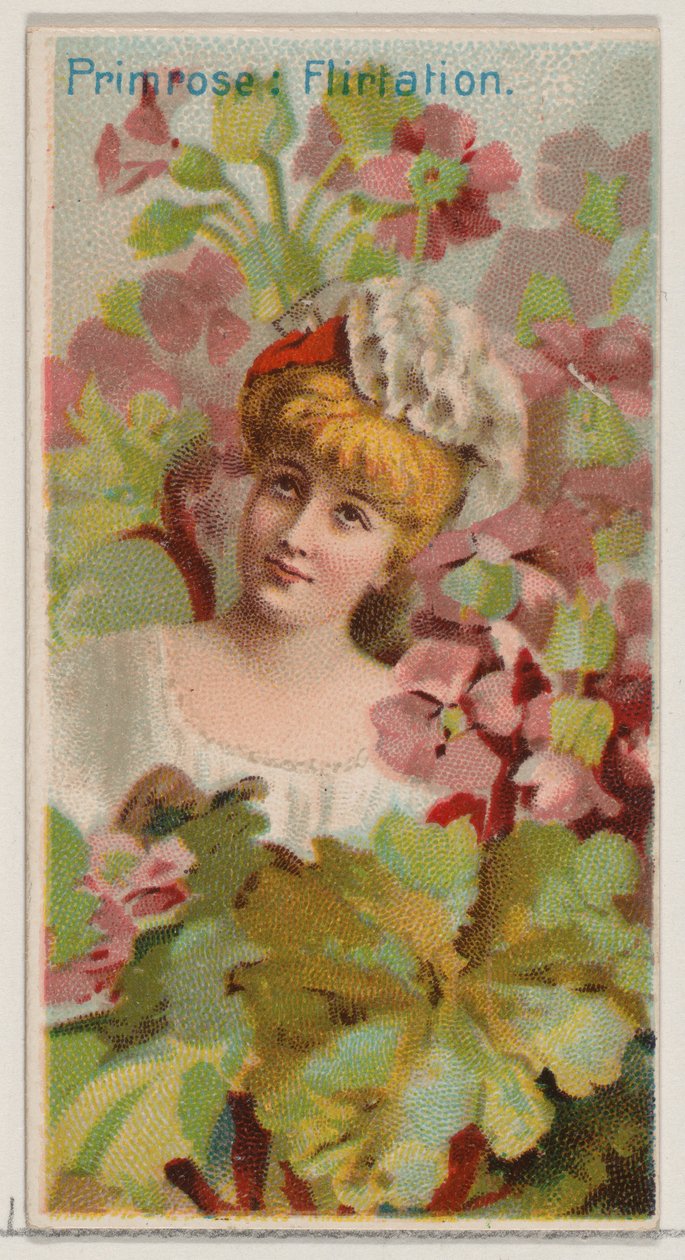 Primrose: Flirtování, ze série Květinové krásy a řeč květin N75 pro Du..., 1892. od Donaldson Brothers