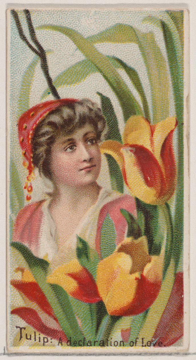 Tulip: A Declaration of Love, ze série Květinové krásy a jazyk květin N75..., 1892. od Donaldson Brothers