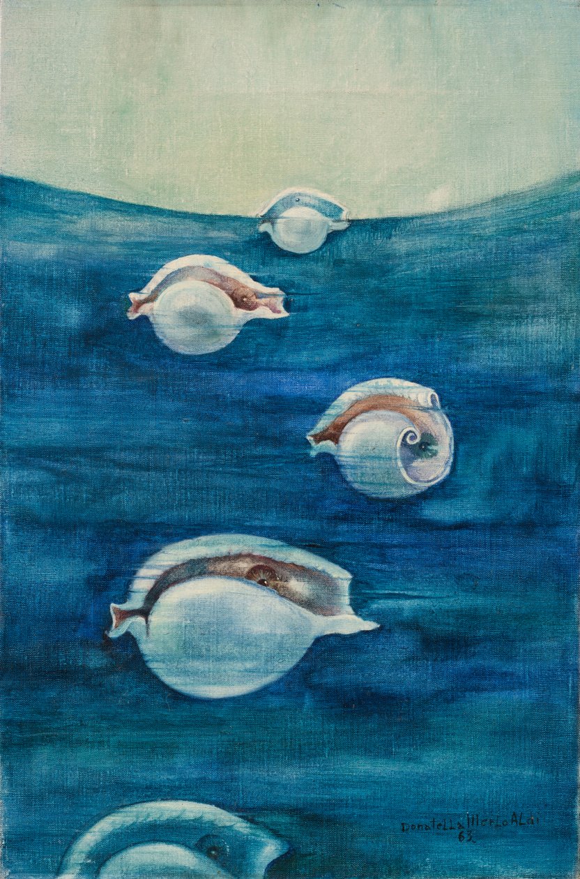 Migrace od Donatella Merlo
