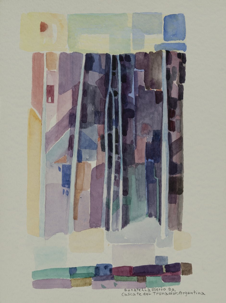 Vodopády Tronador II (Argentina) od Donatella Merlo