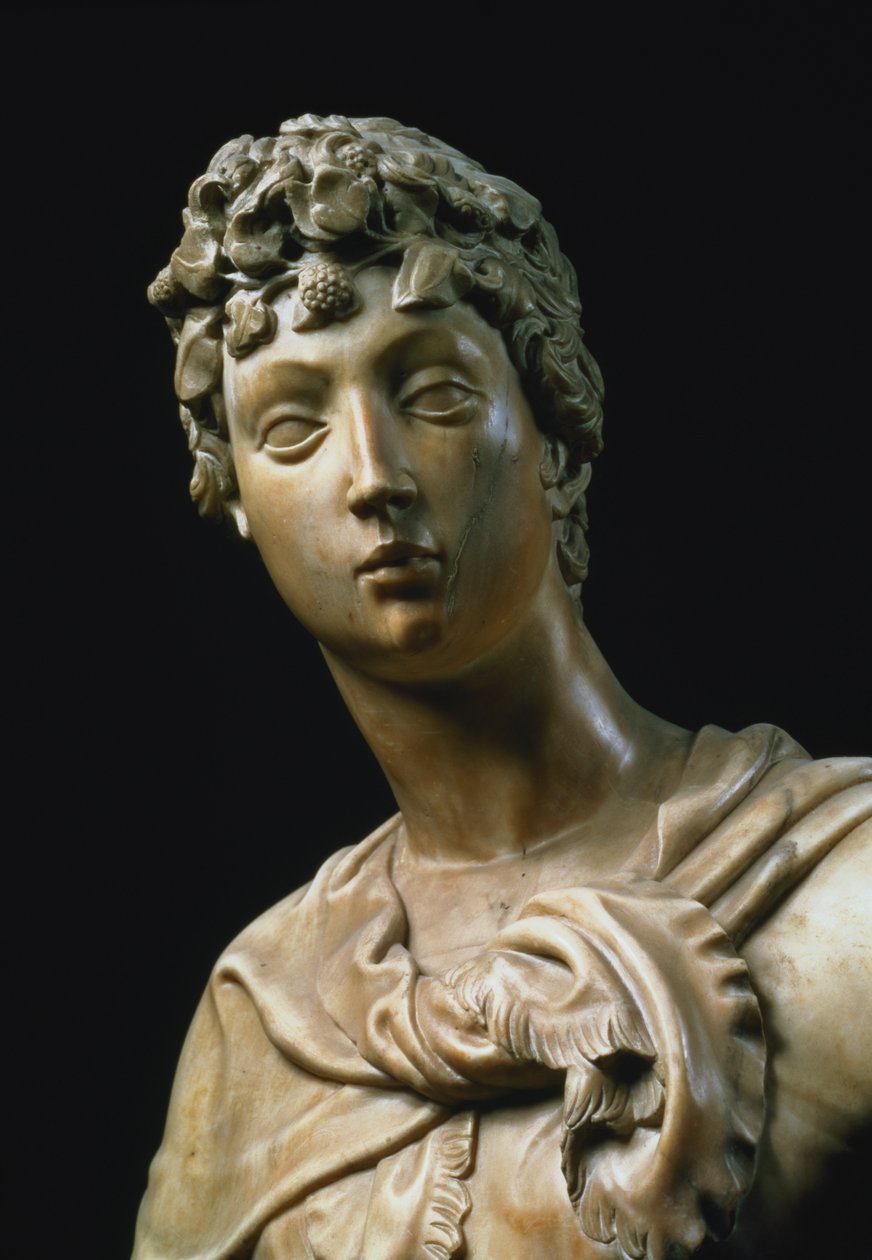 David, detail hlavy, 1408 mramorový detail 79334 od Donatello