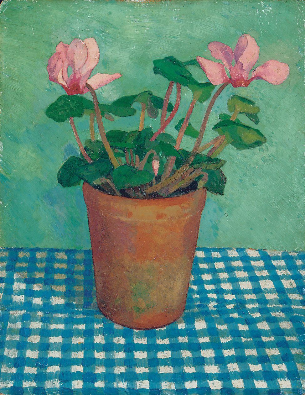 Cyclamen v hrnci (olej na palubě) od Dora Carrington