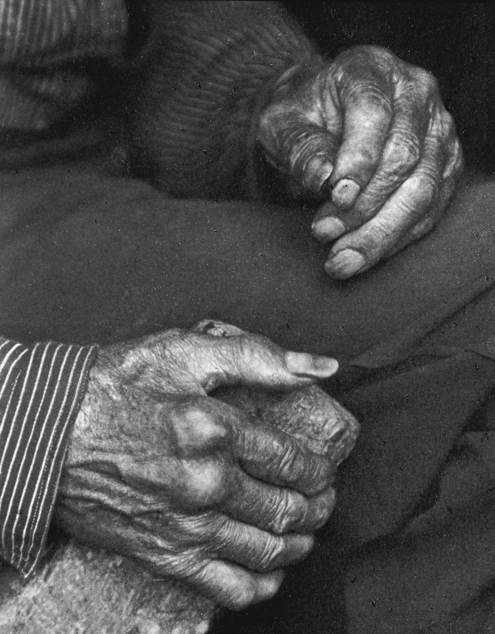 Ruce dělníka, 1925 od Doris Ulmann
