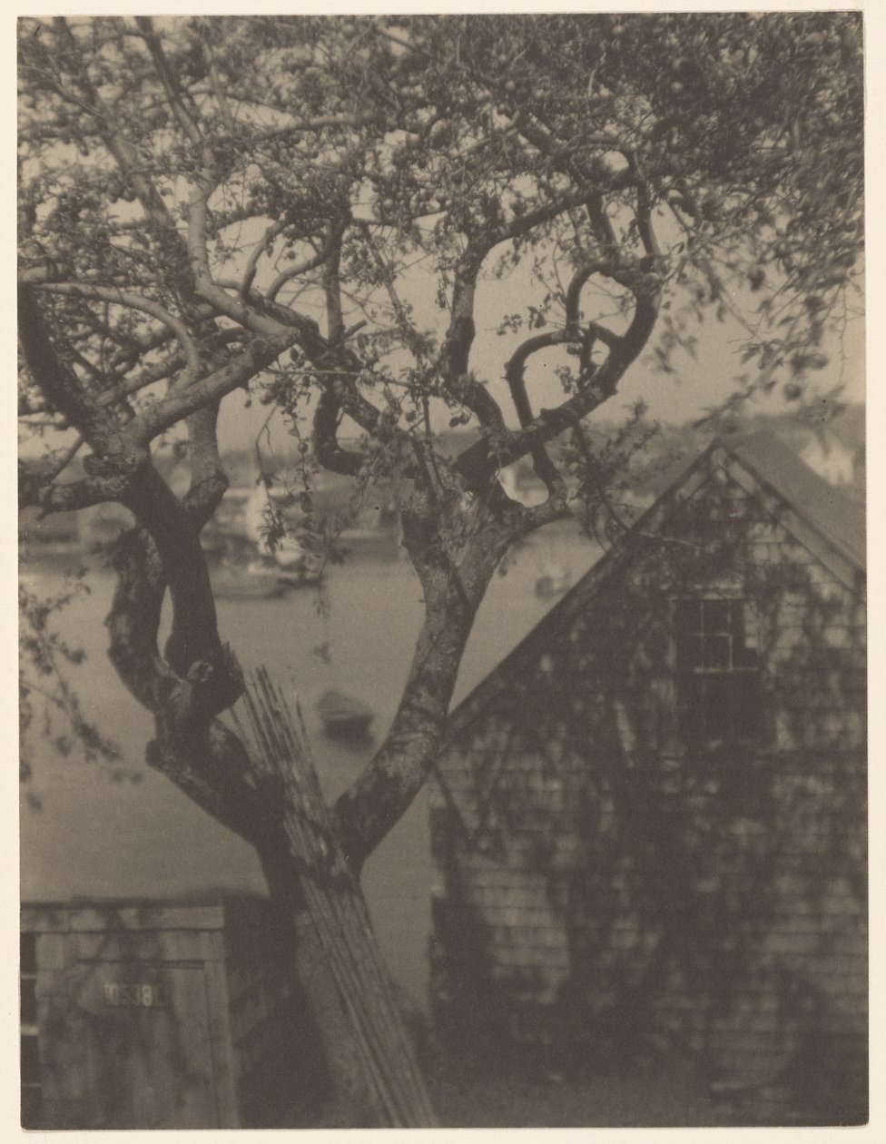 Přístavní scéna, pravděpodobně Gloucester, Massachusetts od Doris Ulmann