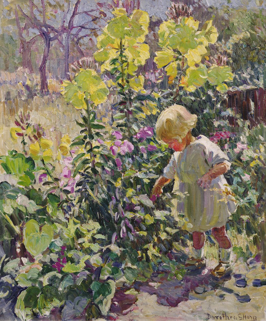  od Dorothea Sharp