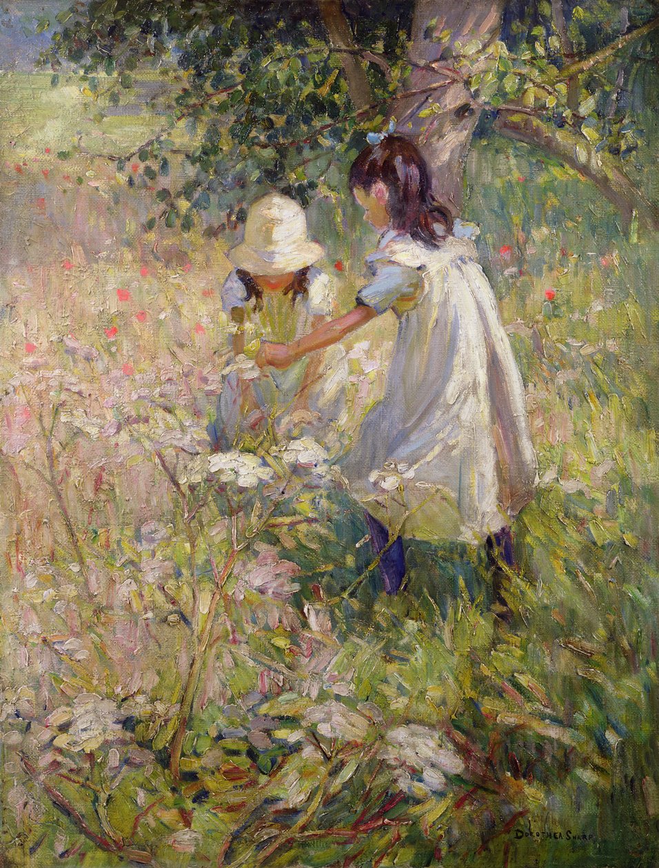  od Dorothea Sharp
