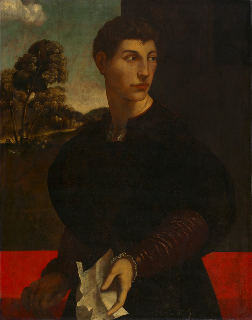 Portrét mladého muže, c. 1530 (olej a zlato na dřevě) od Dosso (follower of) Dossi