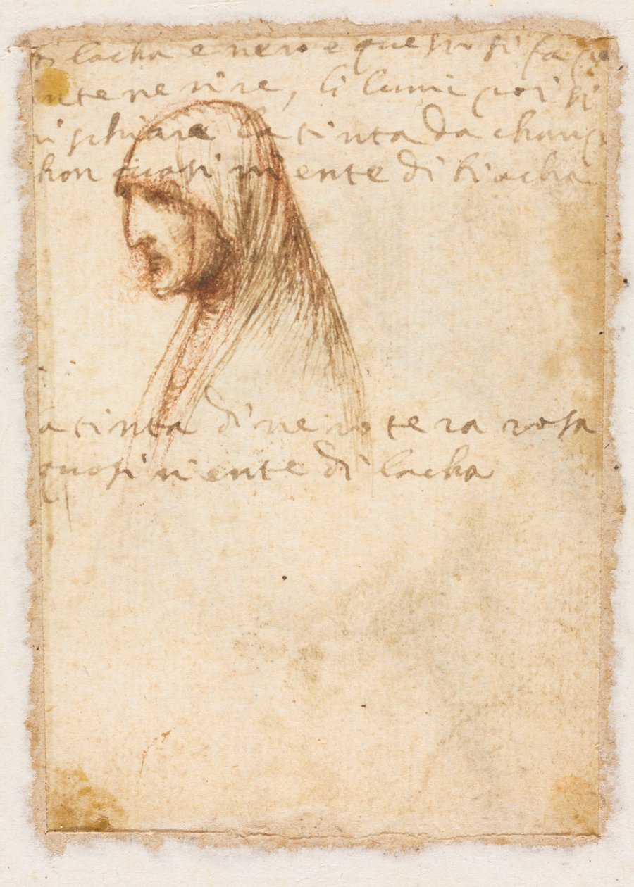 Poprsí-délka profilu staré ženy verso, c. 1521. od Dosso Dossi