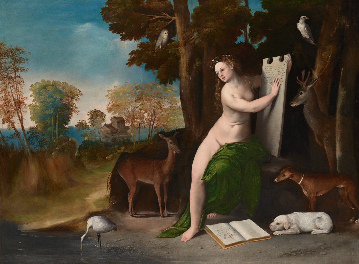  od Dosso Dossi