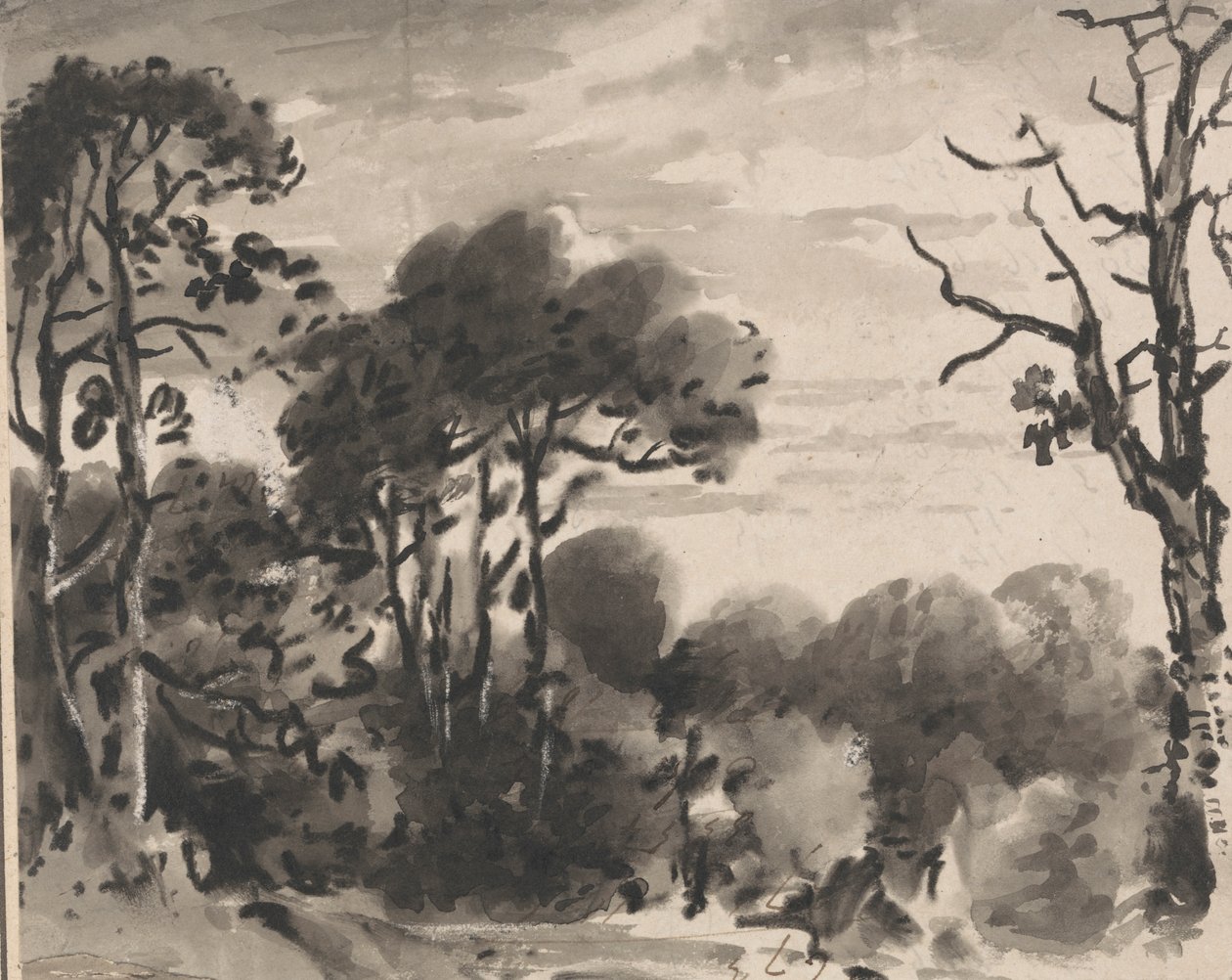 Složení: The Edge of a Wood od Dr. Thomas Monro