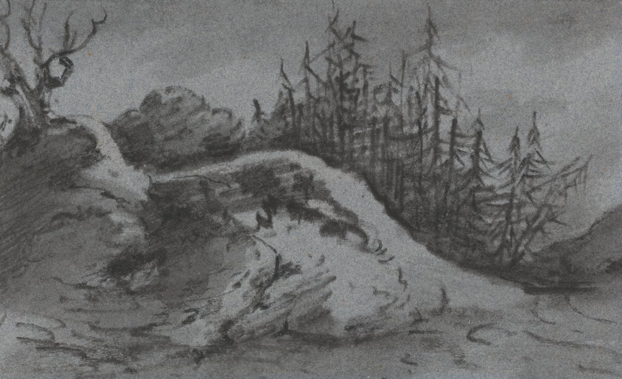 Složení skal a borovic od Dr. Thomas Monro