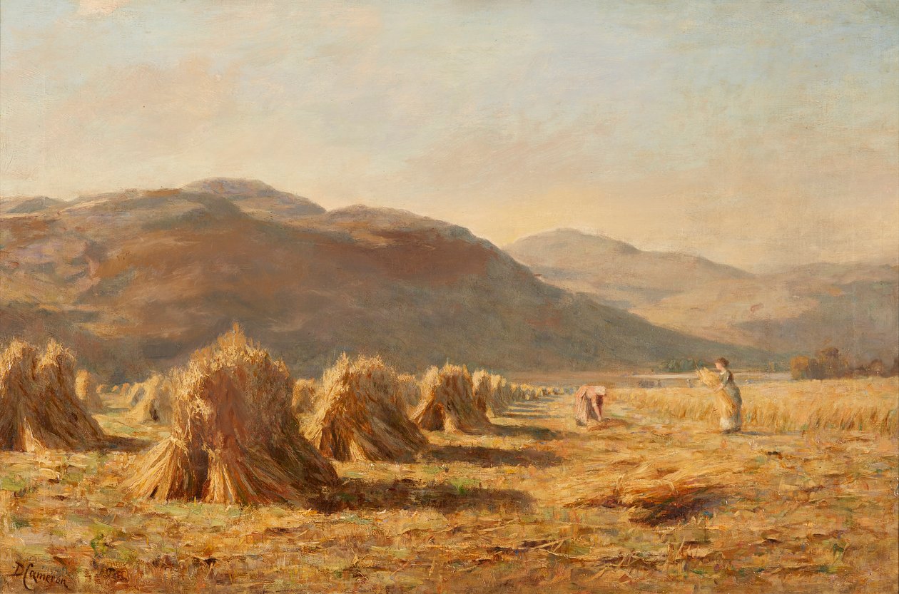 Sklizeň poblíž Dumyat, Ochil Hills (olej na plátně) od Duncan Cameron