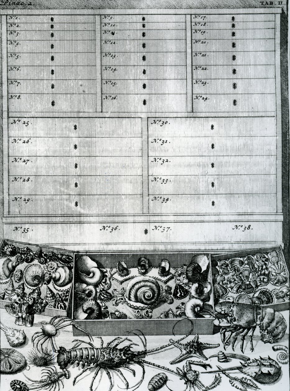 Tabulka II z „Elenchus Tabularum“ od Levina Vincenta, publikovaná v roce 1719 od Dutch School