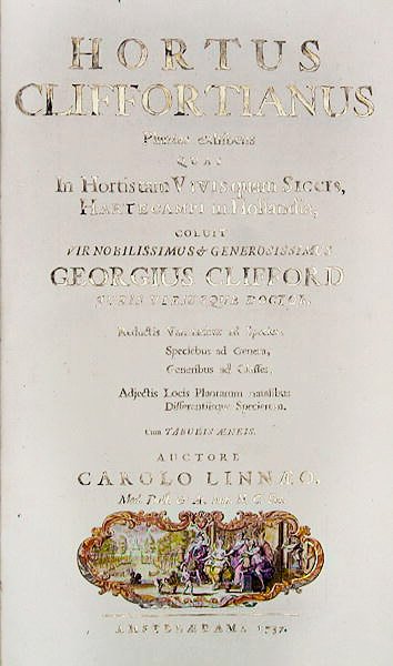 Titulní list knihy Hortus Cliffortianus od Carla Linnaea (1707-78) Amsterdam, 1737 (tisk) od Dutch School
