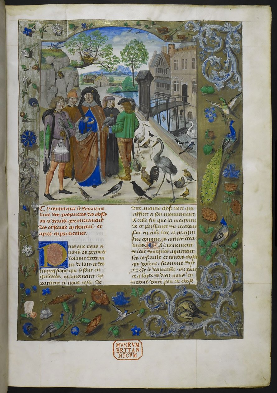 Bartholomaeus Angelicus, z De proprietatibus rerum ve francouzštině (Livre des proprietez des Chooses), Royal 15 E III, f. 11 od Dutch School