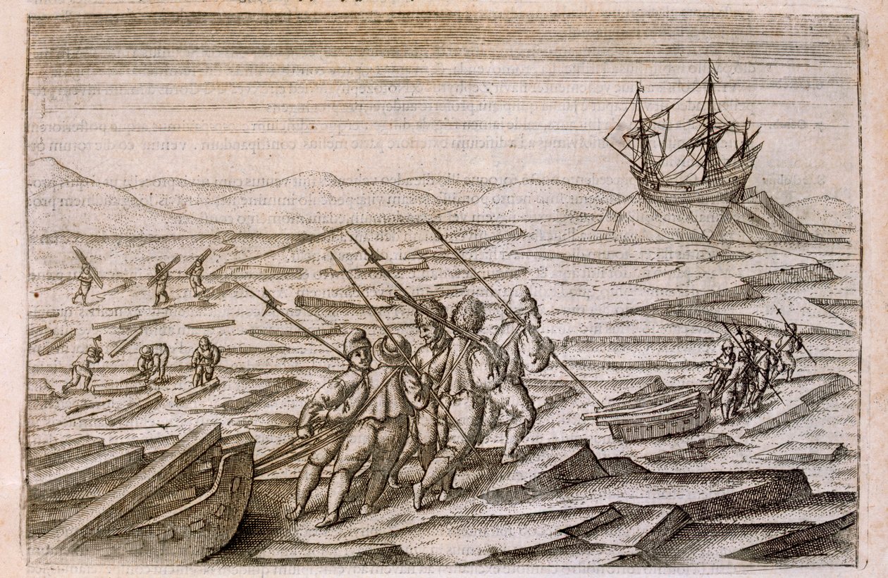 Sbírání naplaveného dřeva pro kajutu, ve které výprava přezimovala, ilustrace z Diarium Nauticum, seu vera descriptio trium navigationum admirandarum... od Gerrita de Veera, 1598 od Dutch School