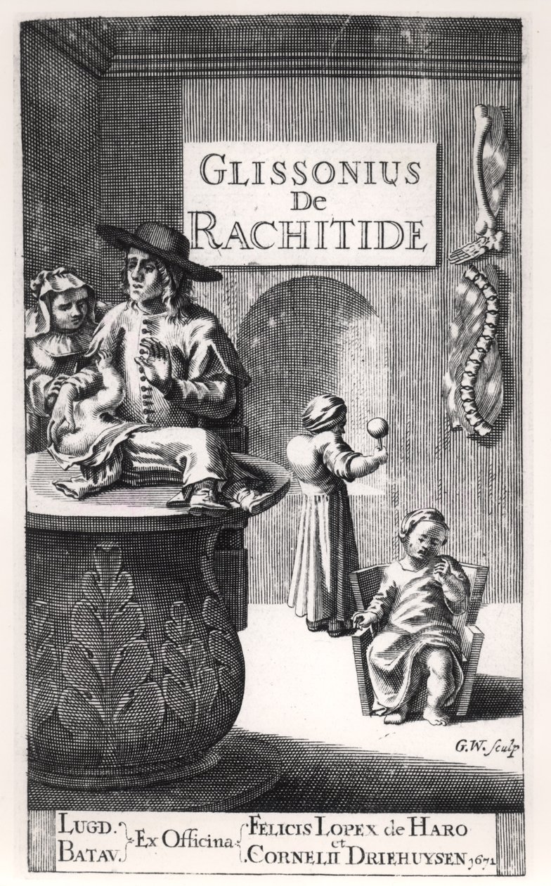 Francis Glisson (1597-1677) publikoval v Leidenu, 1671 od Dutch School