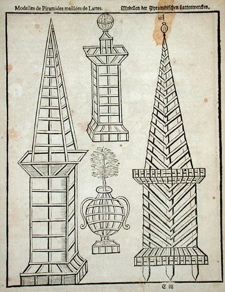 Mřížové pyramidy, z „Holandského zahradníka“ od Johanna van der Groena, vydáno 1699 (rytina) od Dutch School
