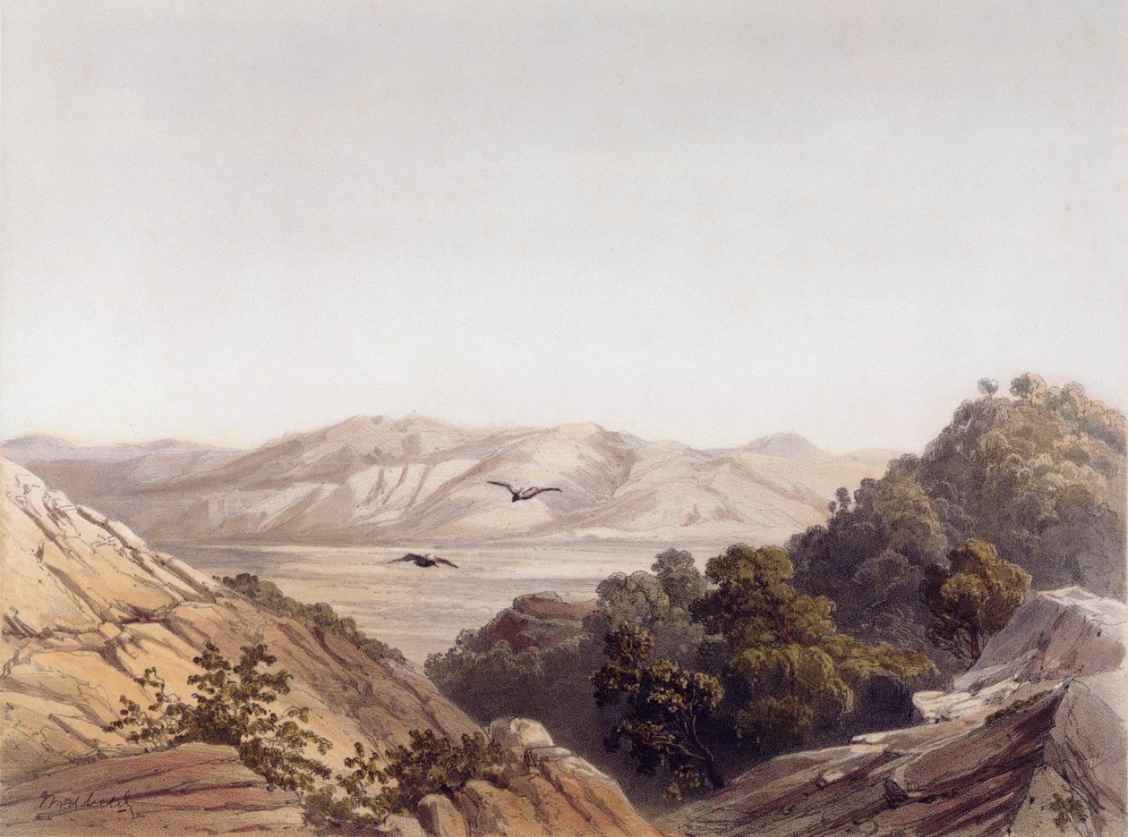 Mount Carmel, Israel, vyryl L. A Sabatier od Dutch School