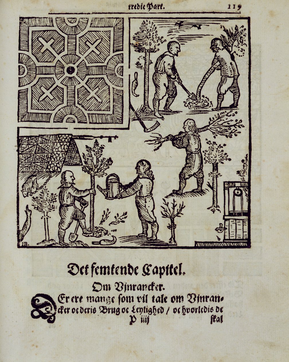 Sázení stromů z knihy The Dutch Gardener od Johanna van der Groena, publikované v roce 1699 od Dutch School